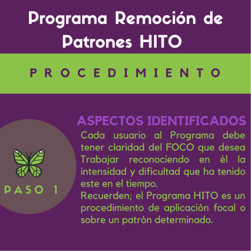 programa remocion de patrones HITO 1