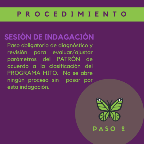 programa remocion de patrones HITO 