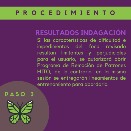 programa remocion de patrones HITO 