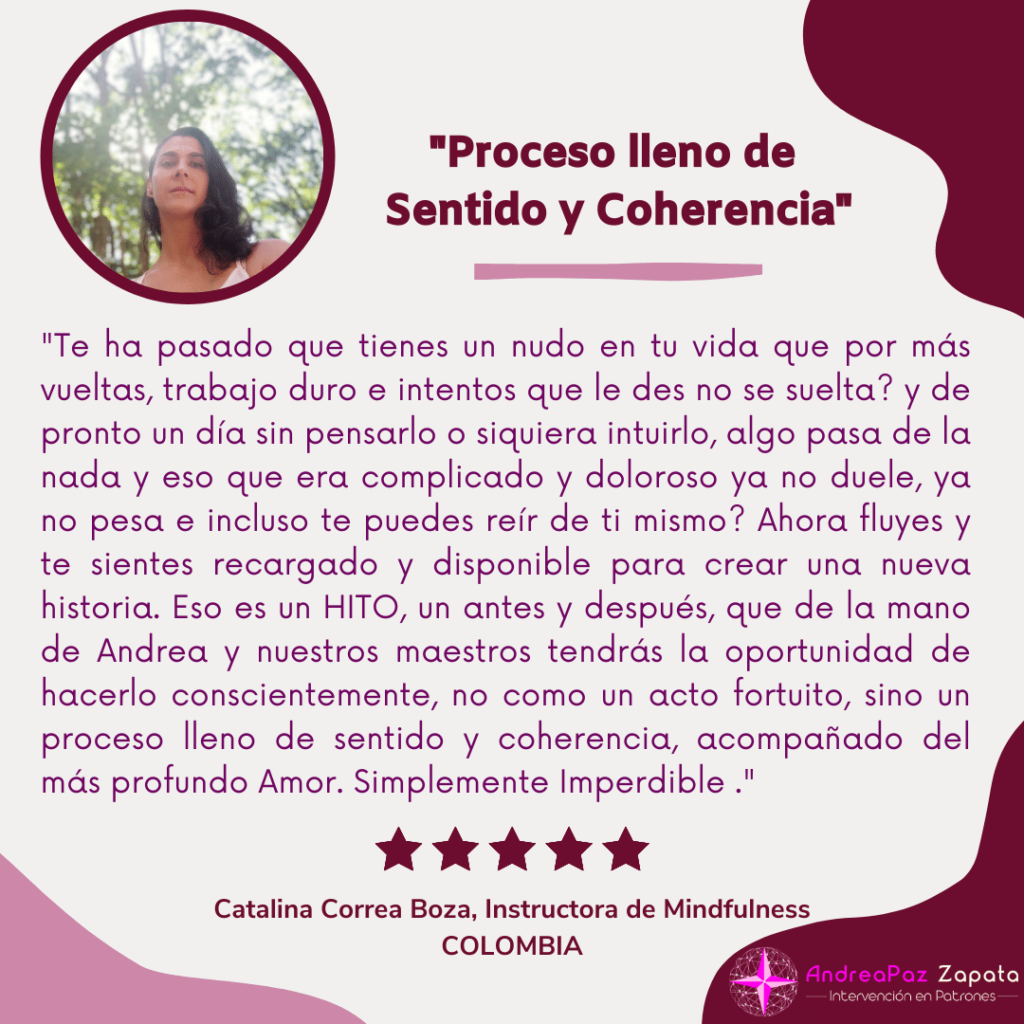 andra paz zapata, programa hito, remocion de patrones, intervencion en patrones, psicologa, creadora