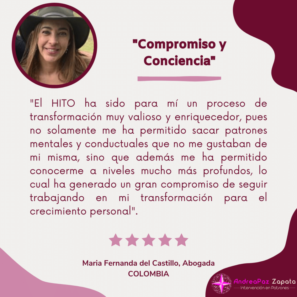 andra paz zapata, programa hito, remocion de patrones, intervencion en patrones, psicologa, creadora