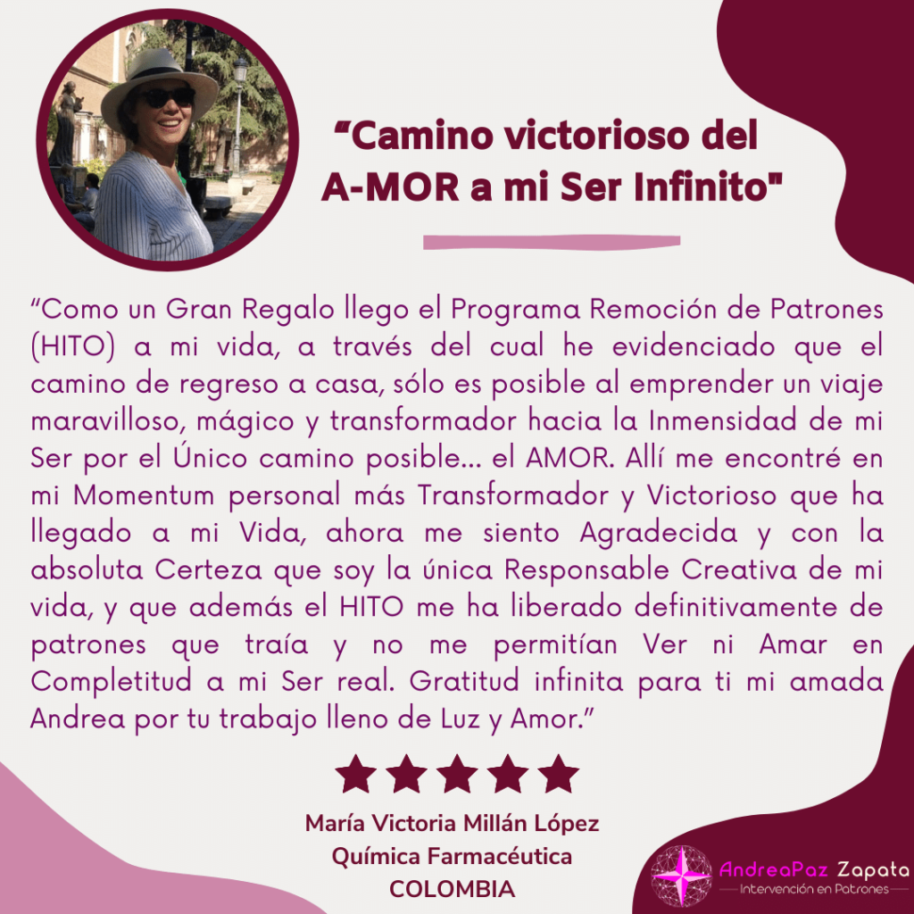 andra paz zapata, programa hito, remocion de patrones, intervencion en patrones, psicologa, creadora