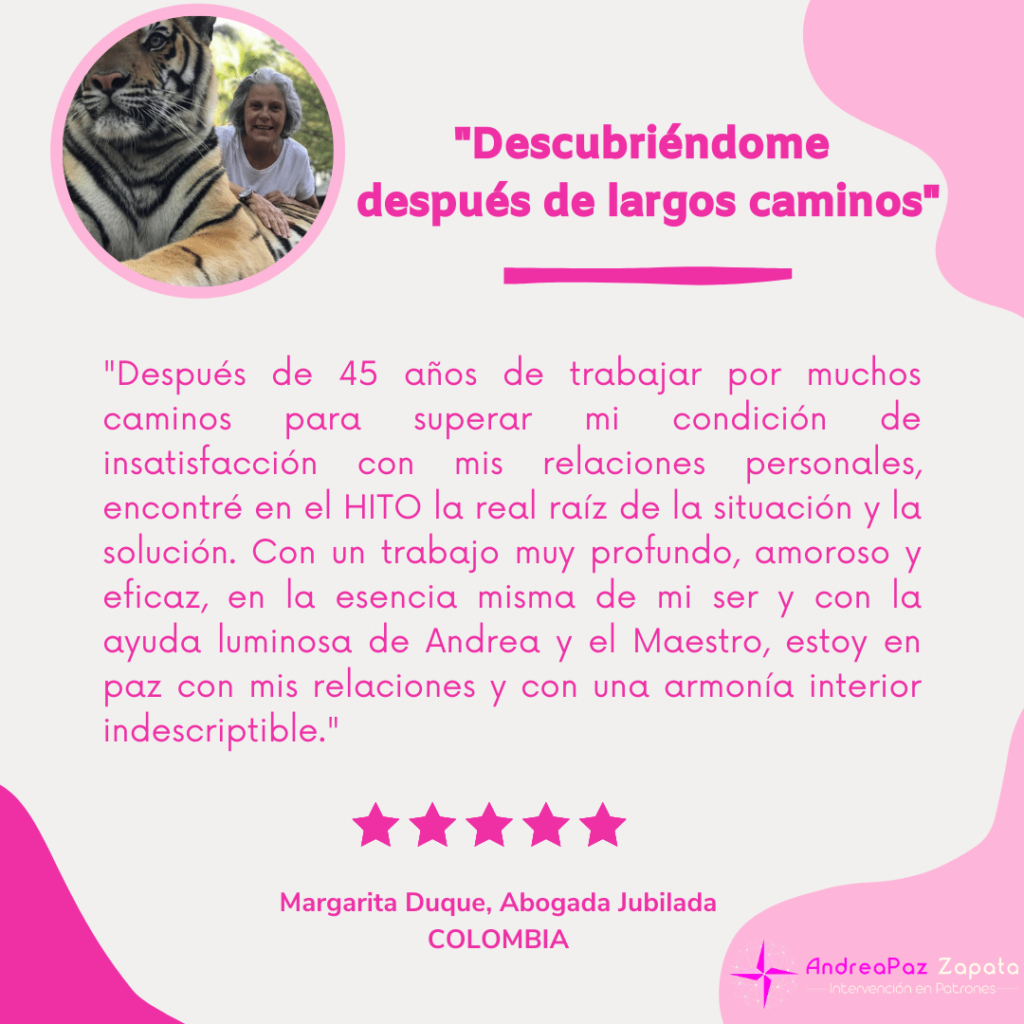 andra paz zapata, programa hito, remocion de patrones, intervencion en patrones, psicologa, creadora