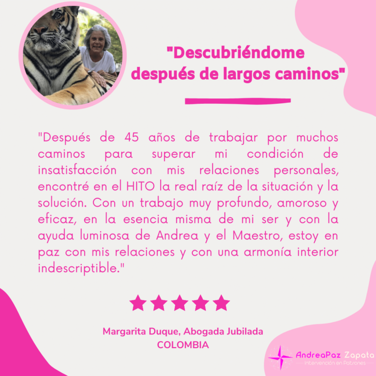 andra paz zapata, programa hito, remocion de patrones, intervencion en patrones, psicologa, creadora