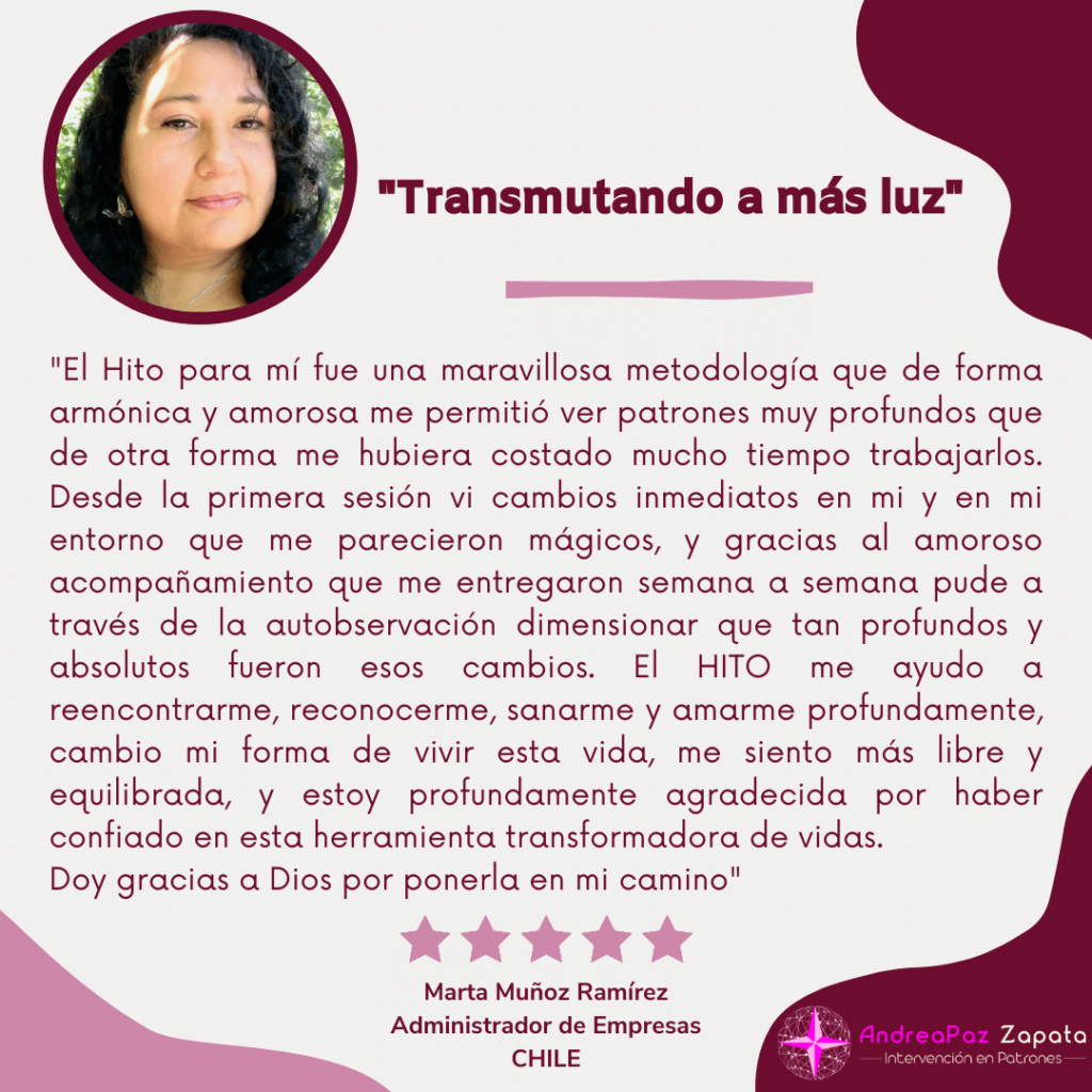 andra paz zapata, programa hito, remocion de patrones, intervencion en patrones, psicologa, creadora